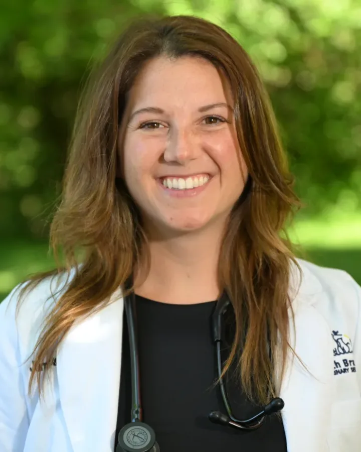 Dr. Jamie Ulassin
