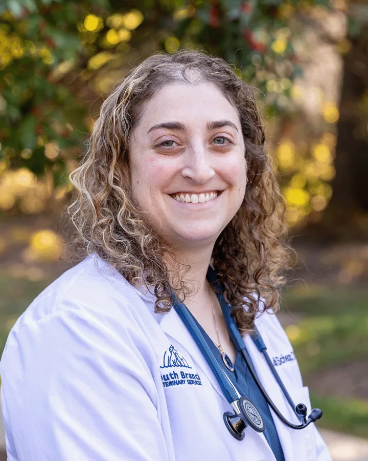 Dr. Meredith Schepp
