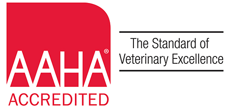 AAHA Accredited