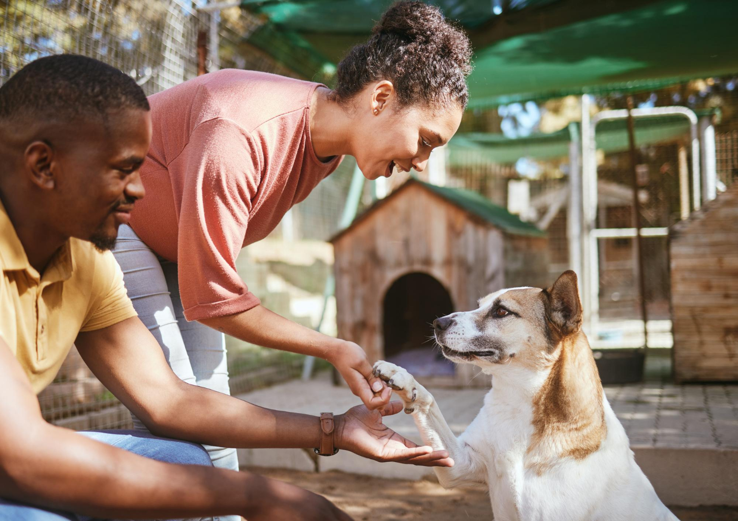 Community involvement at South Branch Veterinary Services